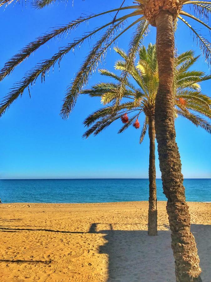 El Nacar Bed & Breakfast Marbella Eksteriør billede